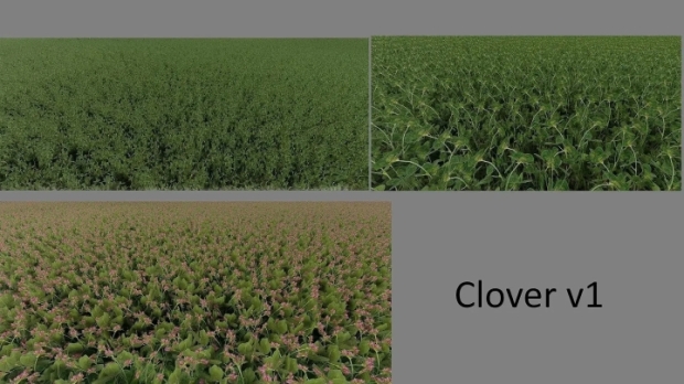 Clover And Alfalfa Texture V1.0.0.1