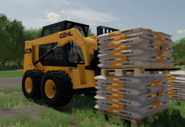 Gehl R165 Mini Loader V1.0