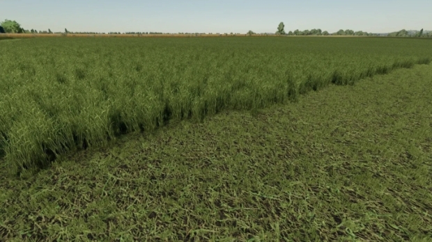 Grass Texture V1.0