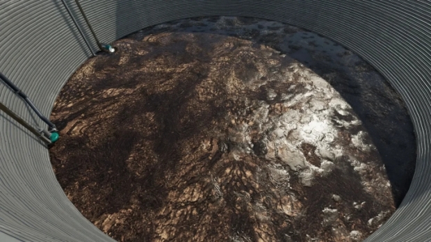 Manure And Dung Texture V1.0