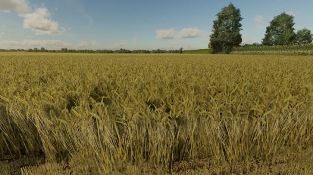 Wheat Texture V1.0.0.1