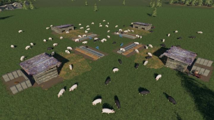 Open Pig Pasture V1