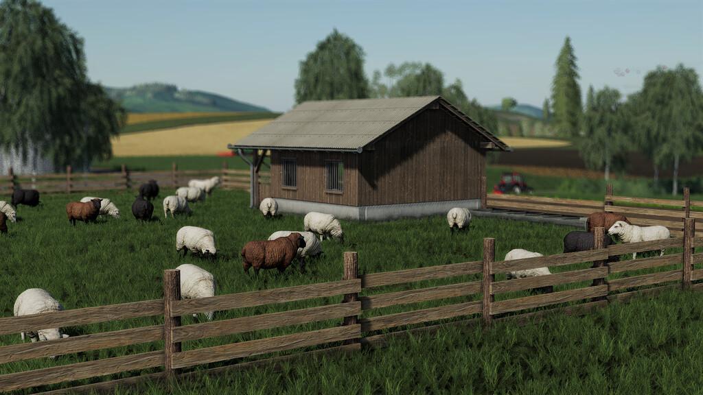 Sheep Pasture V1