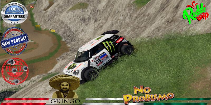 Austin All4 310 Dakar V1.5