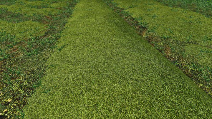 Straw - Hay - Grass Texture