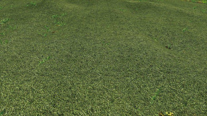 Straw - Hay - Grass Texture